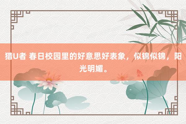 猎U者 春日校园里的好意思好表象，似锦似锦，阳光明媚。