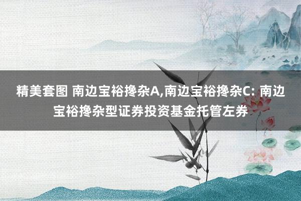 精美套图 南边宝裕搀杂A，南边宝裕搀杂C: 南边宝裕搀杂型证券投资基金托管左券