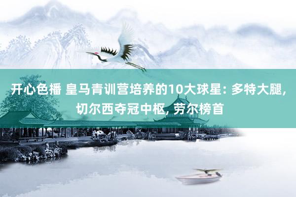 开心色播 皇马青训营培养的10大球星: 多特大腿， 切尔西夺冠中枢， 劳尔榜首