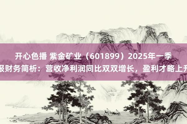 开心色播 紫金矿业（601899）2025年一季报财务简析：营收净利润同比双双增长，盈利才略上升