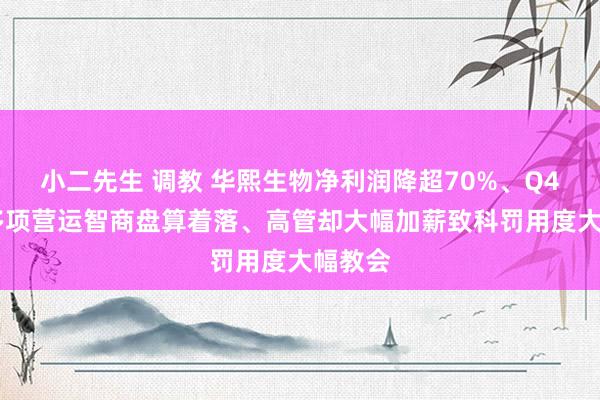 小二先生 调教 华熙生物净利润降超70%、Q4蚀本 多项营运智商盘算着落、高管却大幅加薪致科罚用度大幅教会