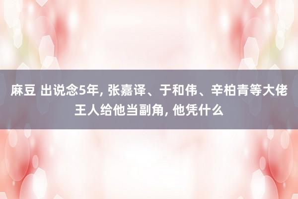 麻豆 出说念5年， 张嘉译、于和伟、辛柏青等大佬王人给他当副角， 他凭什么